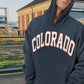 Colorado Print Men's Oversized Fleece Hoodie Blue 320g